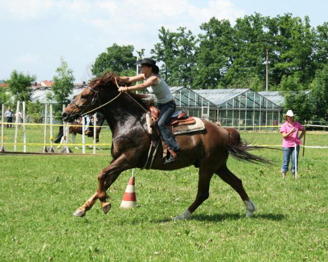 Rodeo04