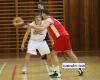basket02
