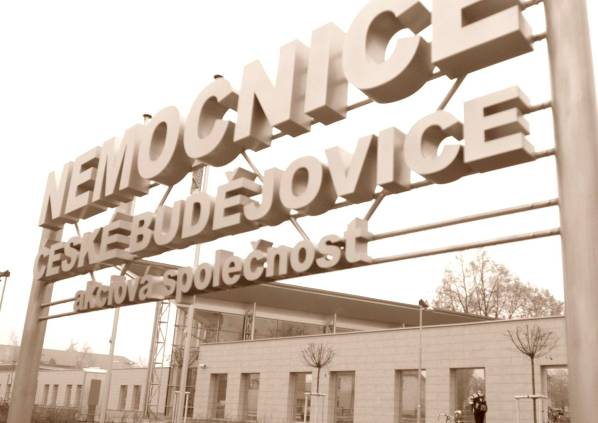 Nemocnice České Budějovice, a. s., vyhlašuje od dnešního dne (8. 2.) zákaz návštěv.